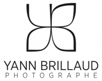 Yann Brillaud Photographe